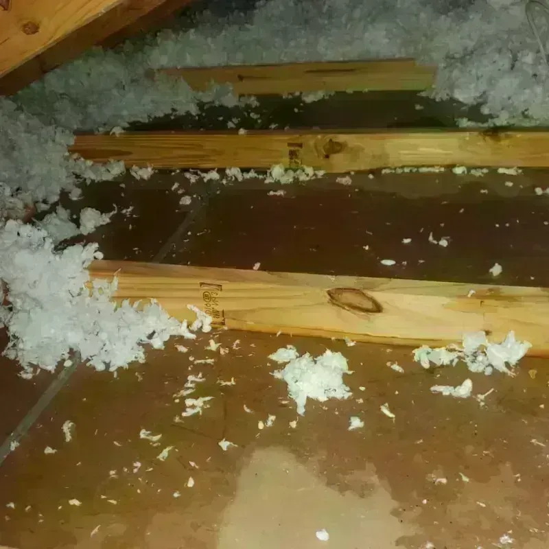 Attic Water Damage in Webb, AL