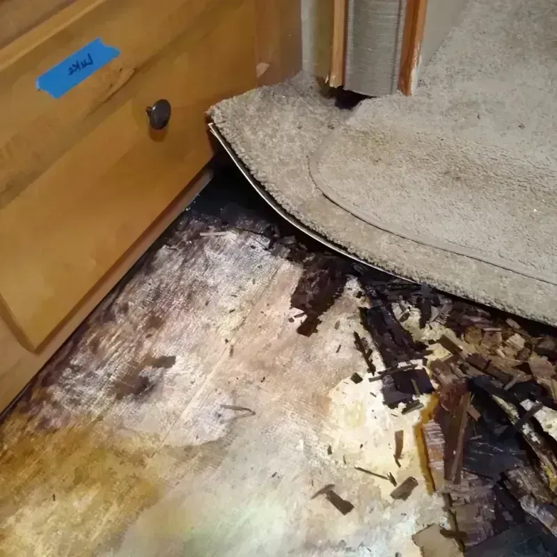 Wood Floor Water Damage in Webb, AL